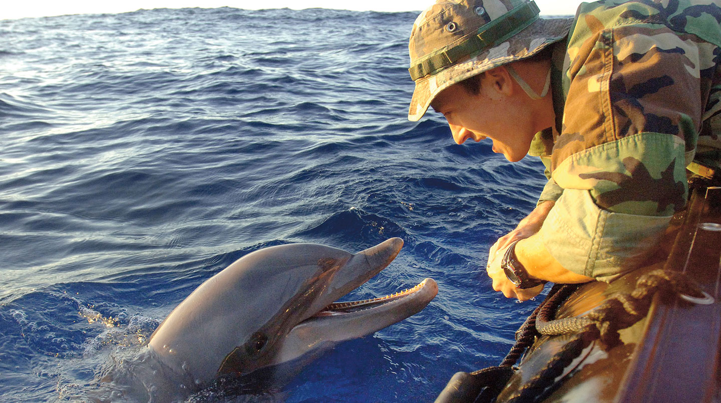 A dolphin pokes its head out of the water as a soldier talks to it.