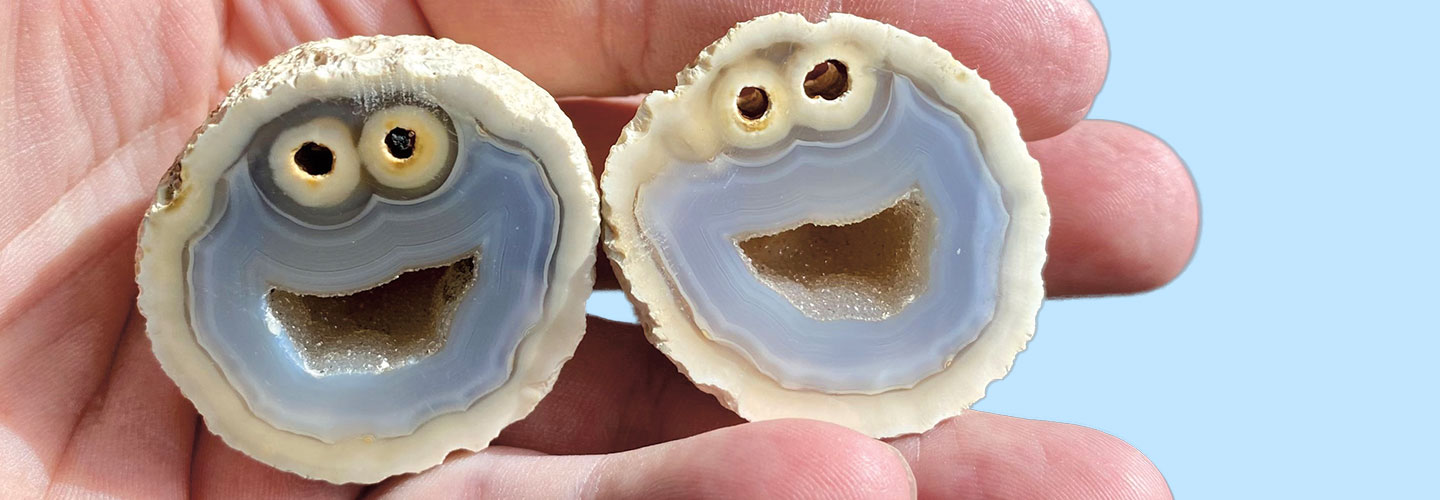An agate is split in half. The cross-section looks like cookie monster.
