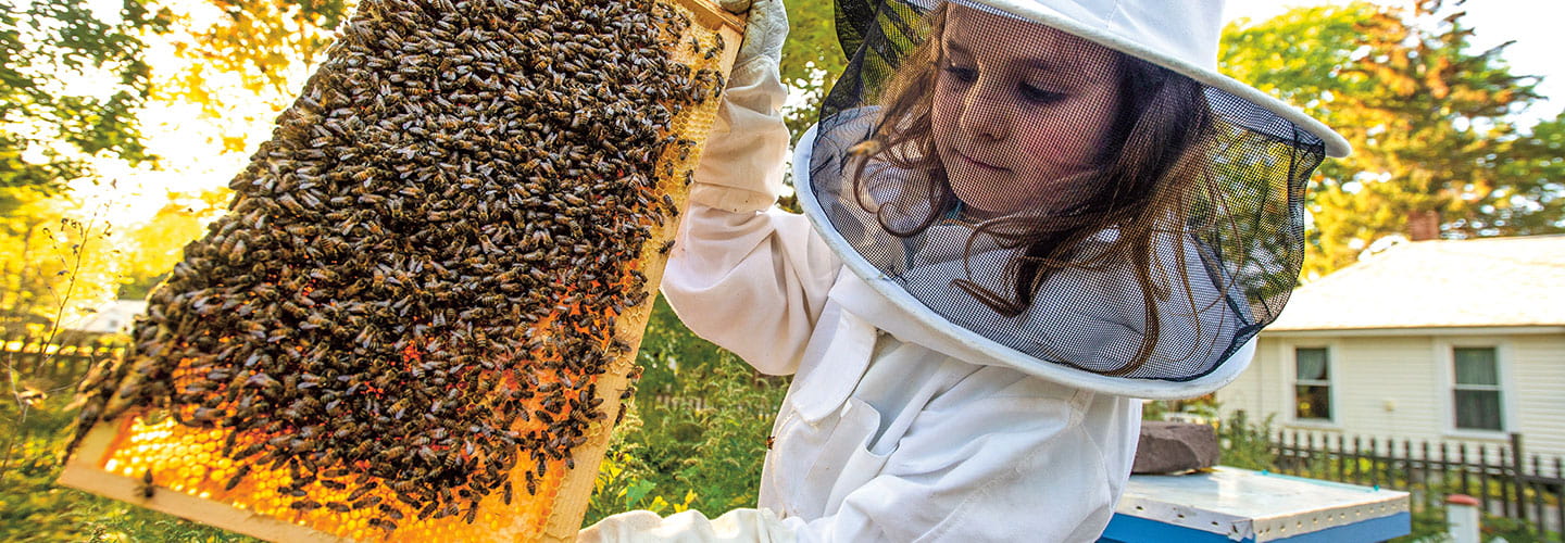 Elizabeth Downs wears a protective suit as she lifts up a honeycomb full of bees