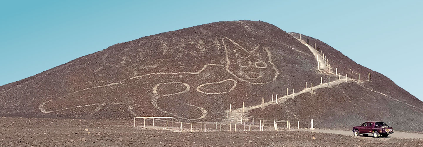 Lines on the side of a hill look like a cat.