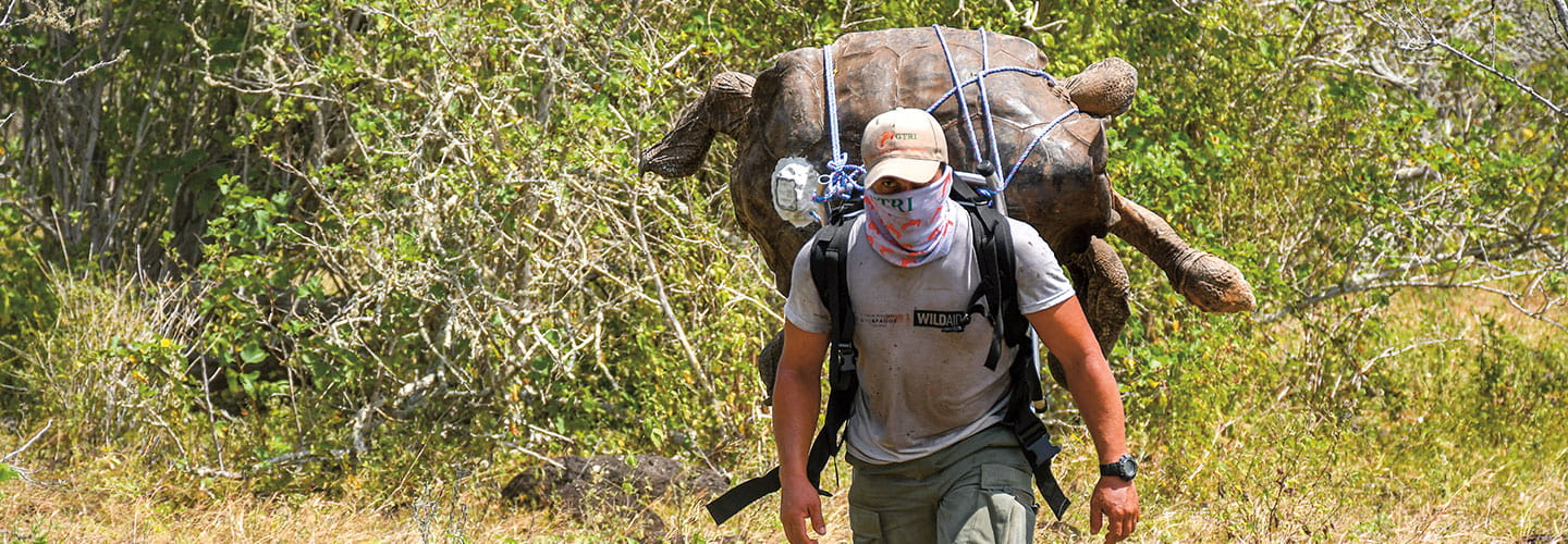 A man carries Diego strapped to his back
