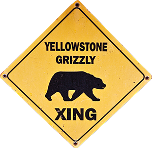 Save the Yellowstone Grizzly -   for Charity Ticket Auction