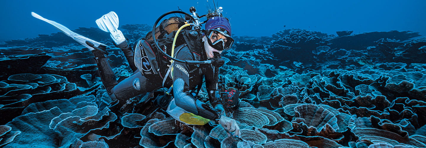 A diver swims near a coral reef formation