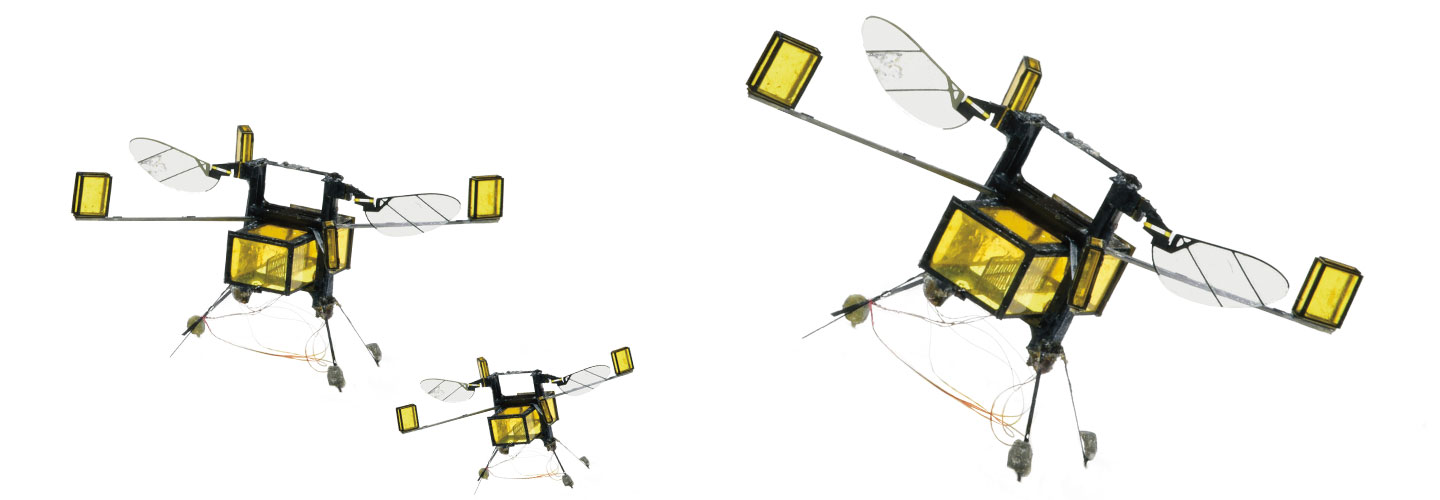 Small drones with insect wings.