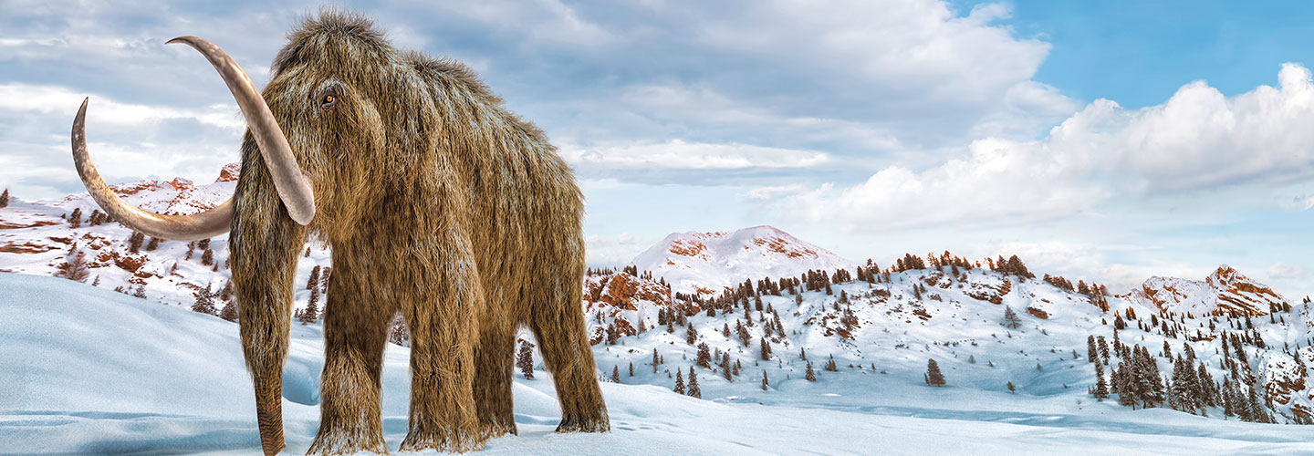 Illustration of Woolly Mammoth in a snowy landscape