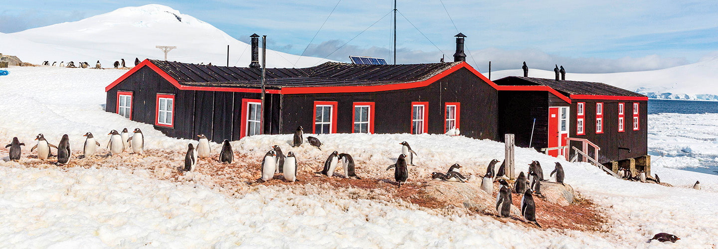 Penguin Post Office