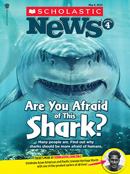 Scholastic News 4 Magazine Subscriber Services