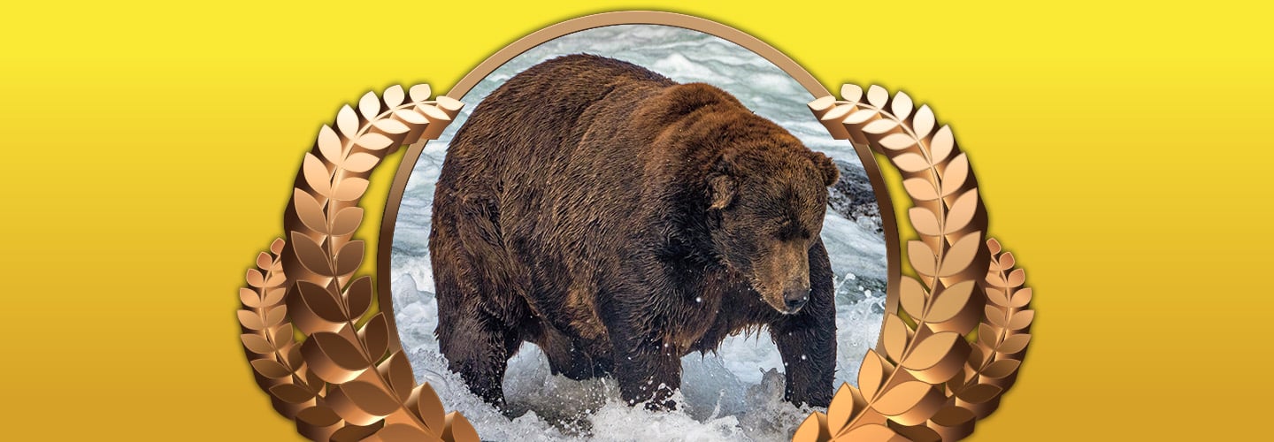Image of a brown bear in a river and decorated by a golden leaf graphic