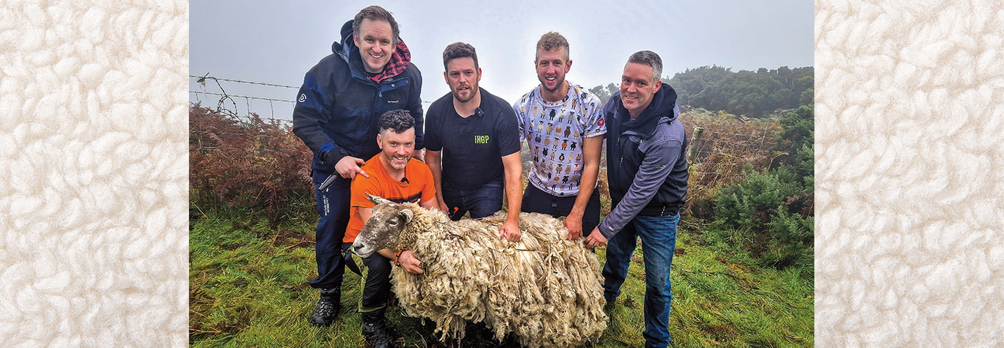 Photo of five people posing with a sheep with a heavy coat